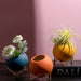 Abstract Colors Flower Pots Home Decor Collection-Estilo Living