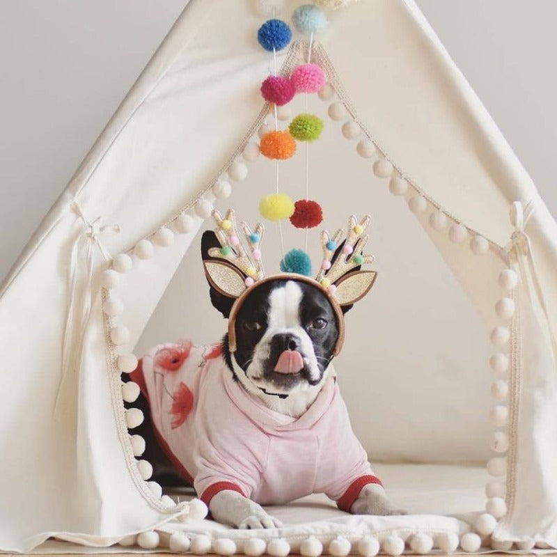 Big 2024 dog teepee