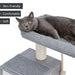 Cute cat laying on the Lounging Platform Cat Bed on the Cat Condo Climbing Cat Tree with Cat Hammock, Buy Cat Tower Online Now from Estilo Living