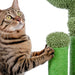 Cat using the Desert Cactus Cat Scratching Post - Buy Pet Accessories - Estilo Living