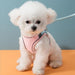 Reflective Dog Harness and Leash Collection | Best Dog Harness | Dog Harness No Pull | No Pull Dog Harness | Dog Harness | Dog Harness And Leash | Estilo Living