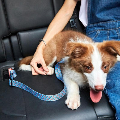 Fun Geometric Adjustable Car Dog Seat Belt | Dog Car Restraint | Dog Safety Belt | Dog Car Harness | Pet Seat Belts | Travelling in Car with Dog | Dog Safety | Estilo Living
