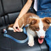 Fun Geometric Adjustable Car Dog Seat Belt | Dog Car Restraint | Dog Safety Belt | Dog Car Harness | Pet Seat Belts | Travelling in Car with Dog | Dog Safety | Estilo Living