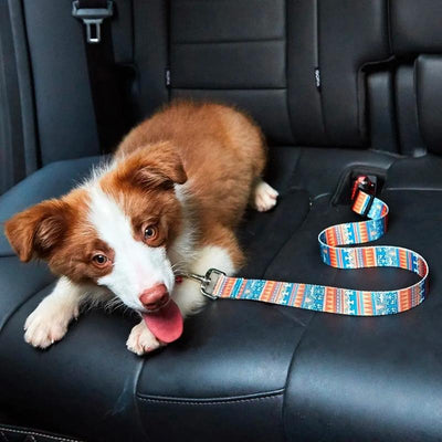 Cute Patterns Adjustable Car Dog Seat Belt | Dog Car Restraint | Dog Safety Belt | Dog Car Harness | Pet Seat Belts | Travelling in Car with Dog | Dog Safety | Estilo Living