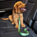 Fruity Leaves Adjustable Car Dog Seat Belt | Dog Car Restraint | Dog Safety Belt | Dog Car Harness | Pet Seat Belts | Travelling in Car with Dog | Dog Safety | Estilo Living