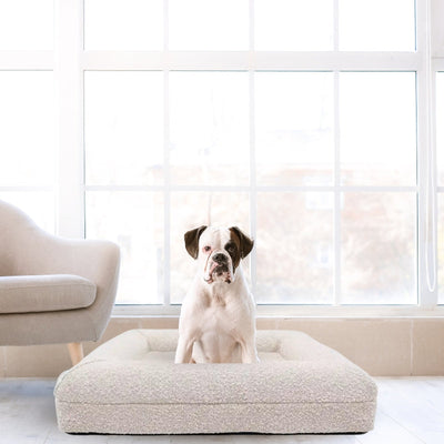 Boucle Memory Foam Dog Bed | Orthopedic Dog Bed | Memory Foam Pet Bed | Boucle Pet Beds | Boucle Cat Beds | Comfortable Dog Beds | Soft Dog Beds | Stylish Dog Beds | Best Dog Beds | Cream Boucle | Gray Boucle | Estilo Living