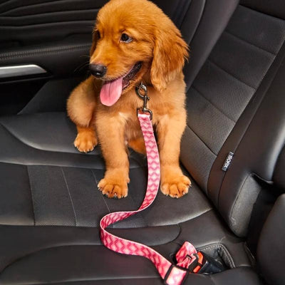 Sweet Paws Adjustable Car Dog Seat Belt | Dog Car Restraint | Dog Safety Belt | Dog Car Harness | Pet Seat Belts | Travelling in Car with Dog | Dog Safety | Estilo Living