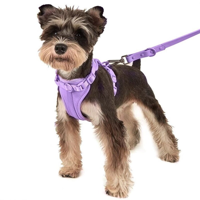 Snazzy Adjustable PVC Dog Harness and Leash | Dog Leash | Easy to Clean Dog Harness | Stylish Dog Accessories | Pink Dog Harness | Blue Dog Harness | Purple Dog Harness | Green Dog Harness | Beige Dog Harness | Gray Dog Harness | Black Dog Harness | Red Dog Harness | Lilac Dog Harness | Mint Dog Harness | Brown Dog Harness | Rust Dog Harness | Estilo Living