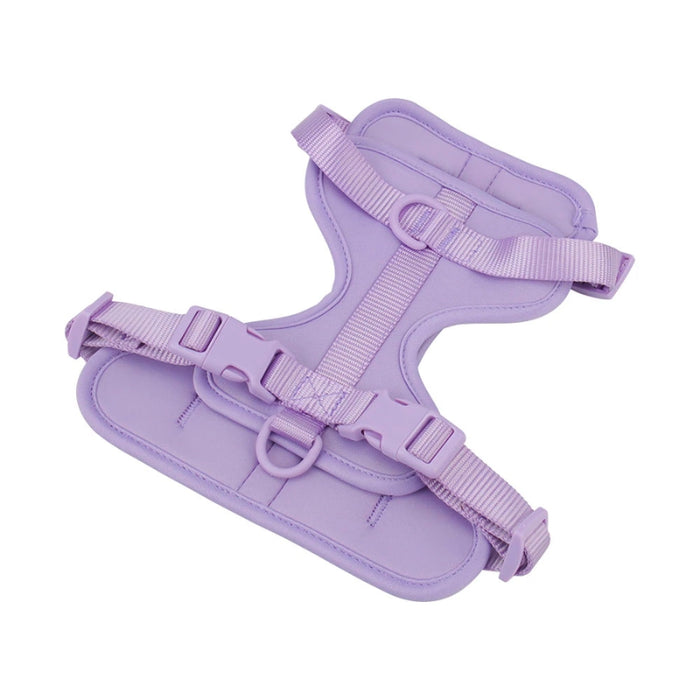 Snazzy Adjustable PVC Dog Harness and Leash | Dog Leash | Easy to Clean Dog Harness | Stylish Dog Accessories | Pink Dog Harness | Blue Dog Harness | Purple Dog Harness | Green Dog Harness | Beige Dog Harness | Gray Dog Harness | Black Dog Harness | Red Dog Harness | Lilac Dog Harness | Mint Dog Harness | Brown Dog Harness | Rust Dog Harness | Estilo Living