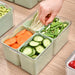 Quad Fridge Organizers & Food Storage Containers | Kitchen Organizer and Storage Container | Refrigerator Organizer | Fridge Organizer Bins | Food Storage Containers with Lids | Pantry Organizer | Plastic Organizing Boxes | Fridge Organizer | Fridge Storage Organizer | Fridge Organizer Containers | Fridge Organizer Drawer | Buy Food Storage Containers Plastic Online Now at Estilo Living