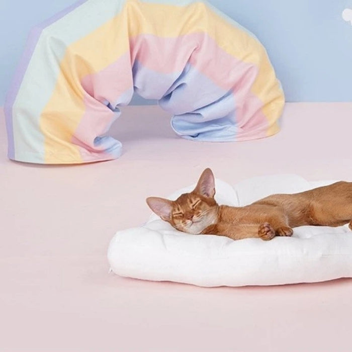 Rainbow Stars Cat Tunnels with Removable Cat Bed | Cat Toys | Cat Entertainment | Collapsible Cat Tunnel | Cute Cat Tunnels | Cat Tunnel With Bed | Fun Cat Tunnels | Cat Tunnel | Stylish Cat Tunnels | Estilo Living