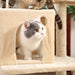 Climbing Cat Tree with Scratching Posts & Cat Nest | Cat Trees | Cat Scratching Trees | Cat Scratching Posts | Cat Toys | Cat Condos | Cat Palace | Estilo Living