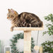 Climbing Cat Tree with Scratching Posts & Cat Nest | Cat Trees | Cat Scratching Trees | Cat Scratching Posts | Cat Toys | Cat Condos | Cat Palace | Estilo Living