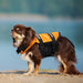 Bright Sunset Dog Life Jacket | Dog Life Jacket | Small Dog Life Jacket | Large Dog Life Jacket | Best Dog Life Jacket | Dog Life Vest | Best Dog Life Vest | Dog Float Vest | Estilo Living