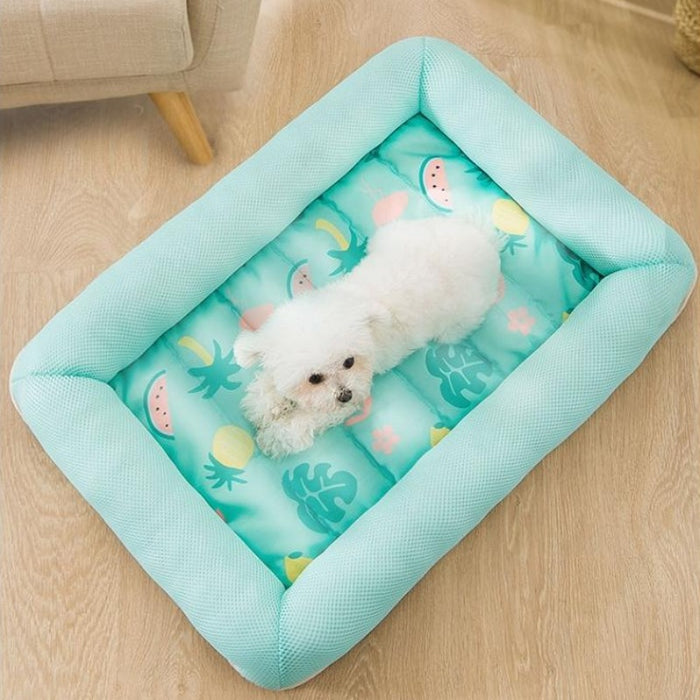 Cold beds for dogs best sale