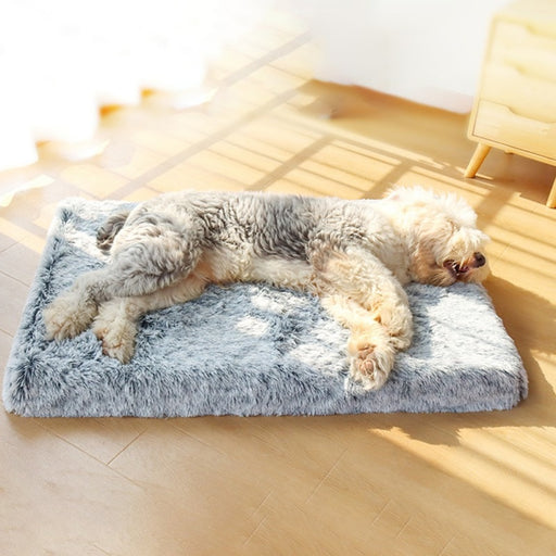 Plush Orthopedic Memory Foam Dog Mattress | Buy Orthopedic Dog Bed & Memory Foam Dog Bed Online | Estilo Living