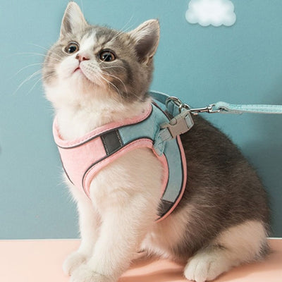 Reflective Cat Harness and Leash Collection | Escape Proof Cat Harness | Cat Vest Harness | Reflective Cat Harness | Cat Leash | Best Cat Harness | Estilo Living