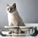 Modern Studio Double Pet Bowl with Stand | Cat Bowls | Dog Bowls | Cat Feeders | Dog Feeders | Stylish Pet Bowls | Abstract Pet Bowls | Estilo Living