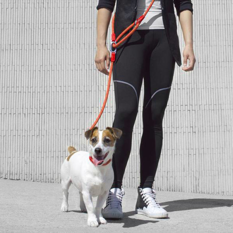 Hands-Free Running Dog Leash | Buy Dog Leads Online | Dog Leash for Running | Hands Free Dog Leash | Pet Accessories | Estilo Living