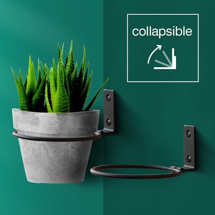 Collapsible Wall-Mounted Flower Pot Holders