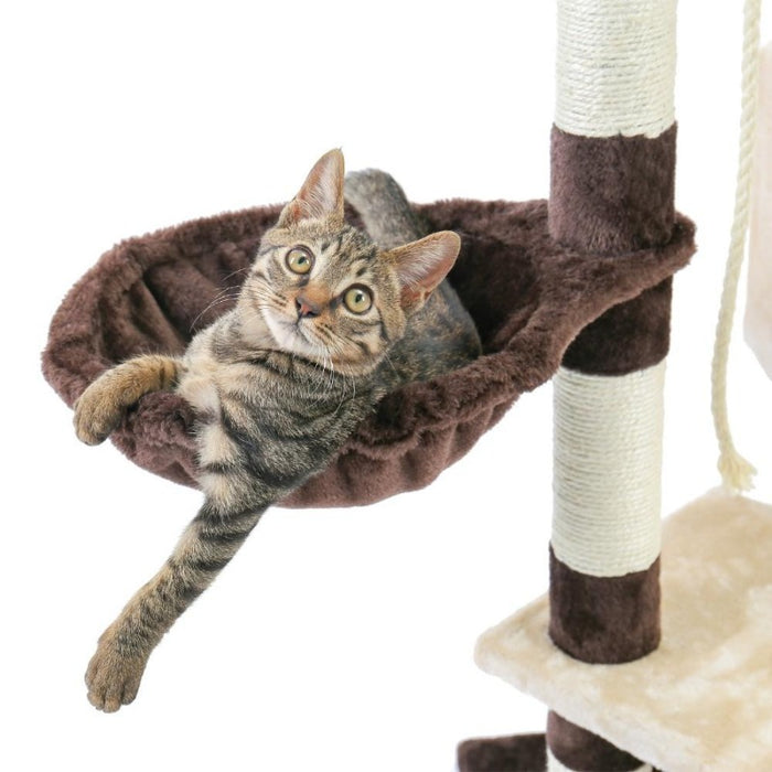 Cute cat laying in the Kitty Hammock Cat Nest of the Cat Nest Tower Climbing Cat Tree with Scratching Posts in Beige & Brown color, Buy Cat Tree with Scratching Posts Online Now from Estilo Living