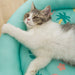 Tropical Summer Round Cat Cooling Mat | Cat Cooling Pad | Cat Beds | Cat Mats | Round Cat Beds | Summer Cat Beds | Estilo Living
