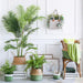 Straw Flower Planter & Storage Baskets Decor Estilo Living Natural Small Estilo Living